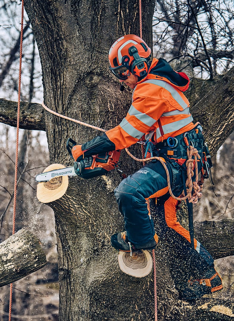 Hacs-image04 Hacs-image04